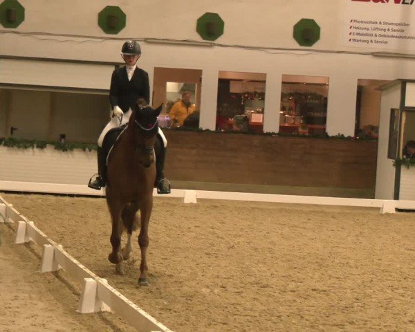 Reitturnier Coesfeld/Lette 2024