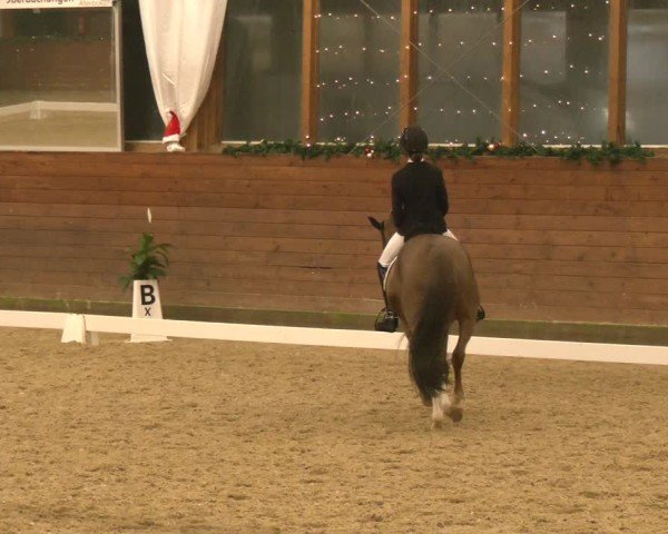 Reitturnier Coesfeld/Lette 2024