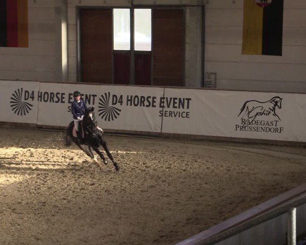 Reitturnier Prussendorf 2024