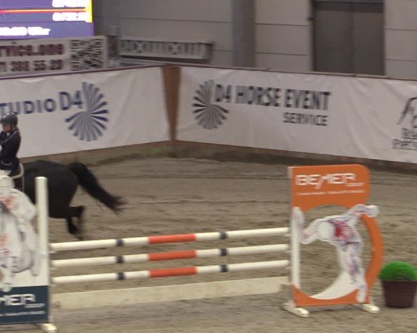 Reitturnier Prussendorf 2024