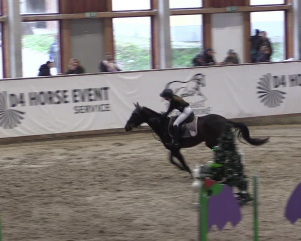 Reitturnier Prussendorf 2024