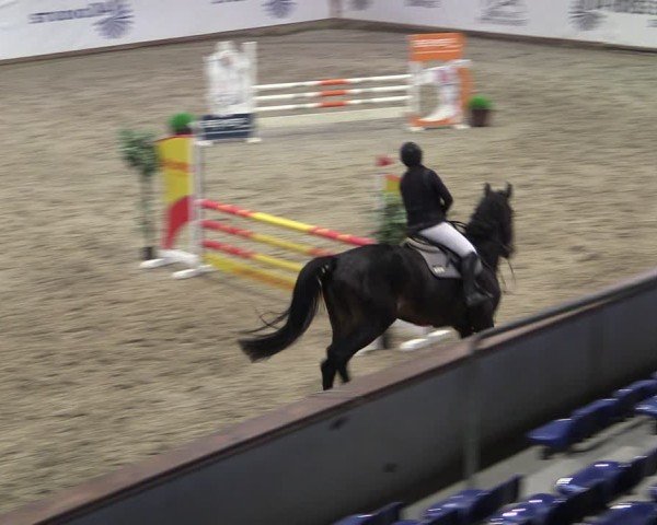 Reitturnier Prussendorf 2024