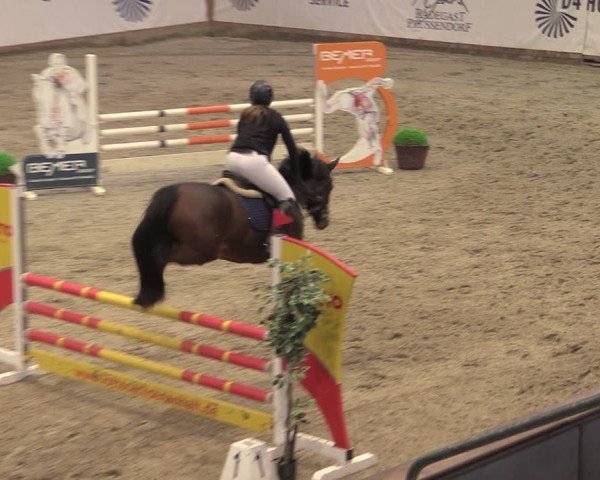 Reitturnier Prussendorf 2024