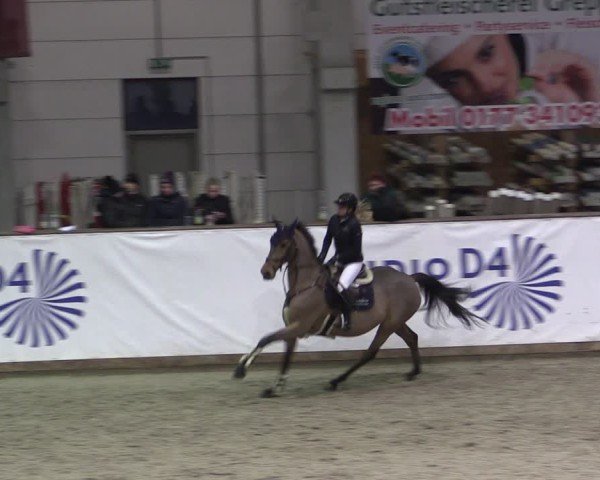 Reitturnier Prussendorf 2024