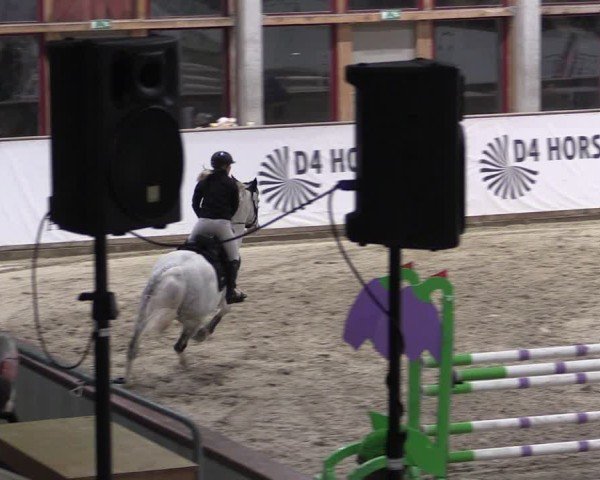 Reitturnier Prussendorf 2024