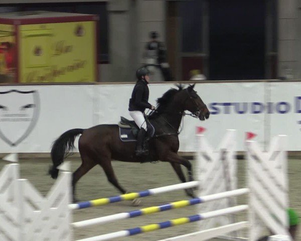 Reitturnier Prussendorf 2024
