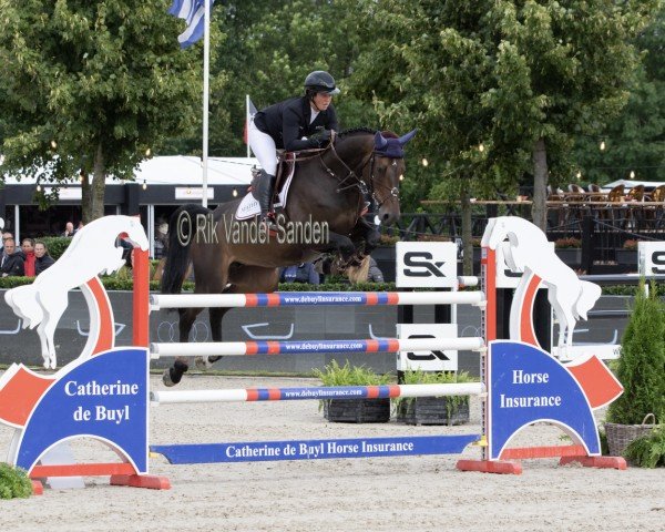 broodmare Ira-T-Elle des 7 Vallons (Belgium Sporthorse, 2014, from Comme il Faut)