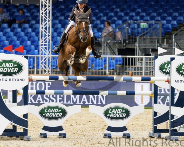 jumper Eyecatcher BB Z (Zangersheide riding horse, 2014, from Emerald van 't Ruytershof) jumper Eyecatcher BB Z (Zangersheide riding horse, 2014, from Emerald van 't Ruytershof)