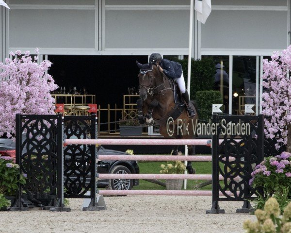 jumper Casalito 4 (Holsteiner, 2014, from Casalito)