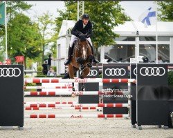jumper Emir de Moens Harcour (Selle Français, 2014, from Urlevent du Bary)