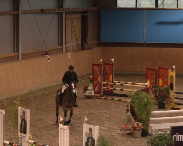 Reitturnier Osterholz-Scharmbeck 2024