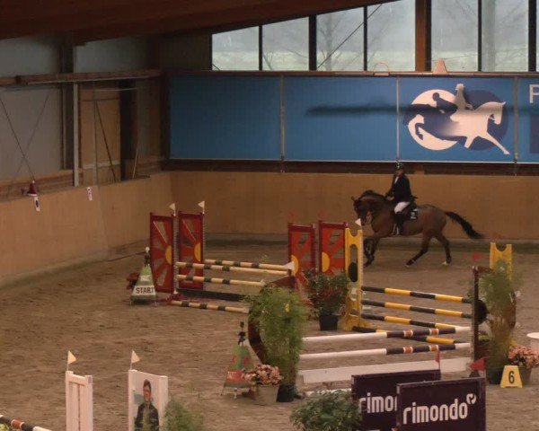 Reitturnier Osterholz-Scharmbeck 2024