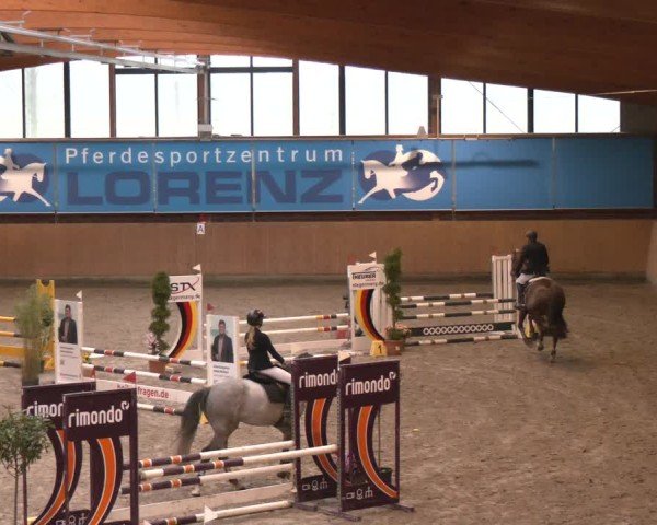 Reitturnier Osterholz-Scharmbeck 2024