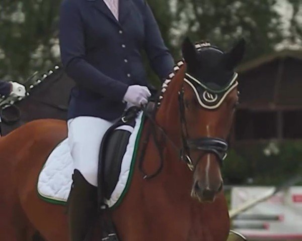 horse Susi (Hanoverian, 2020, from Sezuan)