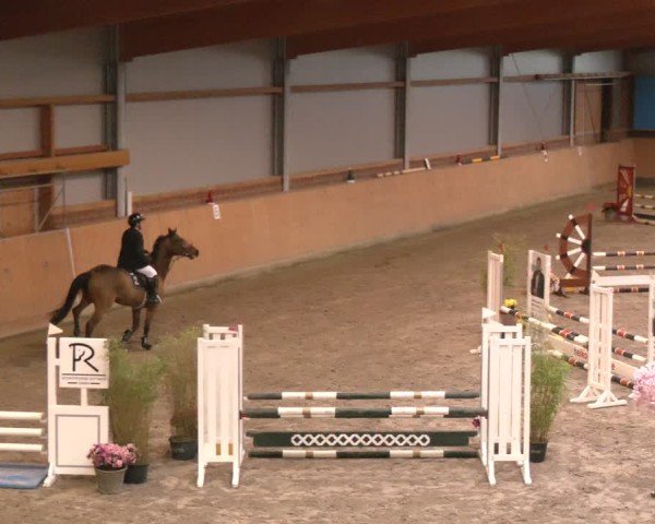 Reitturnier Osterholz-Scharmbeck 2024