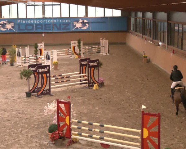 Reitturnier Osterholz-Scharmbeck 2024