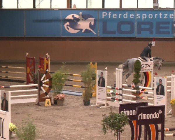 Reitturnier Osterholz-Scharmbeck 2024