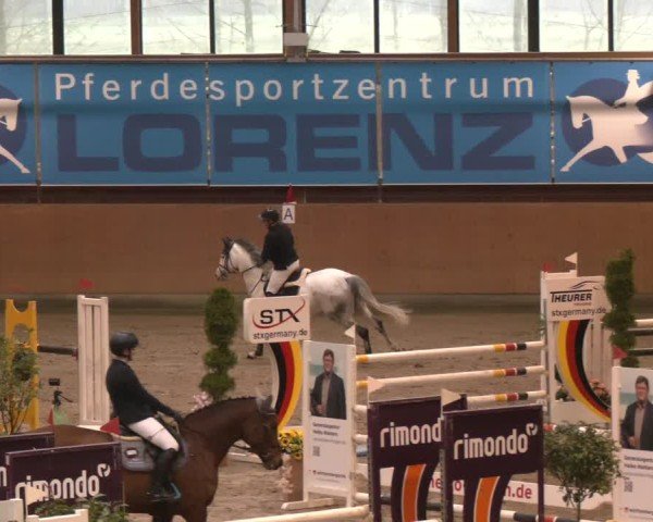 Reitturnier Osterholz-Scharmbeck 2024