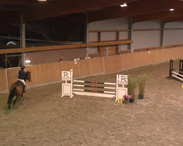 Reitturnier Osterholz-Scharmbeck 2024