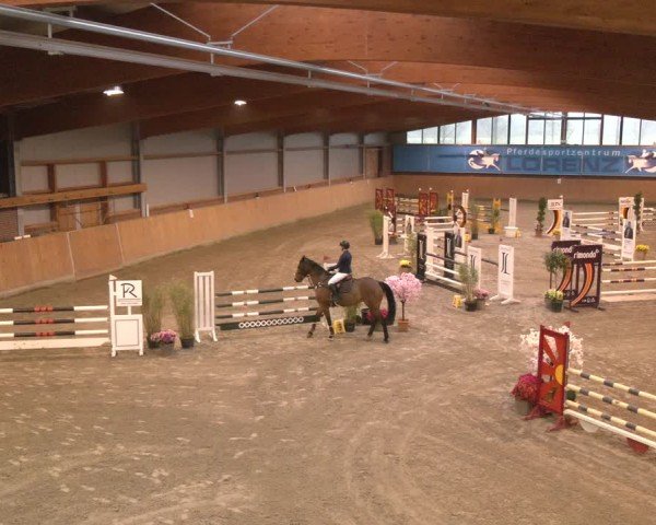 Reitturnier Osterholz-Scharmbeck 2024
