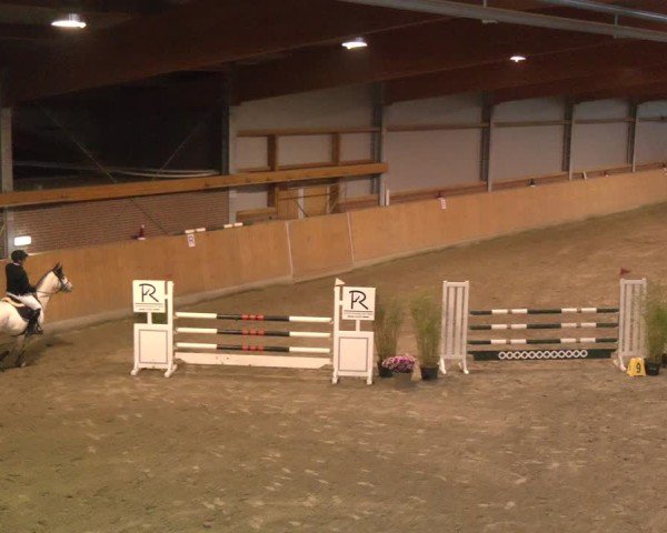 Reitturnier Osterholz-Scharmbeck 2024