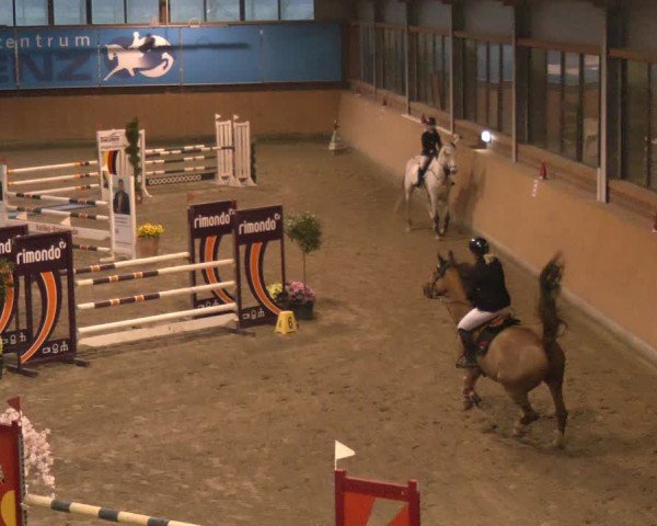 Reitturnier Osterholz-Scharmbeck 2024