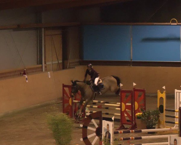 Reitturnier Osterholz-Scharmbeck 2024