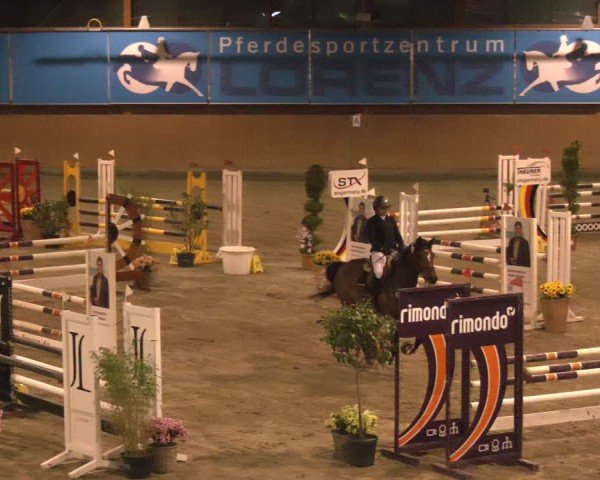Reitturnier Osterholz-Scharmbeck 2024