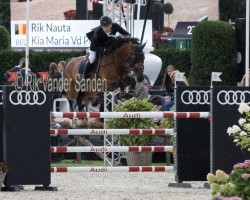 jumper Kia Maria van de Potarde (Belgian Warmblood,  , from Numero Uno)