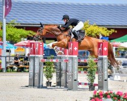 jumper Pepsi van't Kathof (Belgian Warmblood, 2015, from Kartouzo van 't Kathof)
