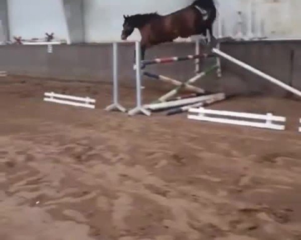 Video of Caprici
