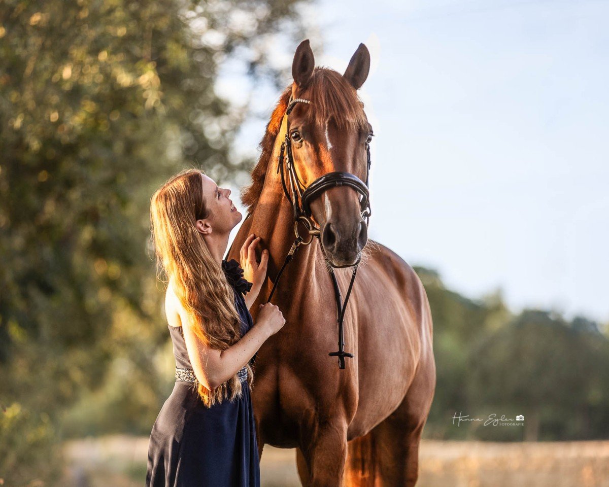 horse Florence HS (Oldenburg, 2018, from Fuechtels Floriscount OLD)