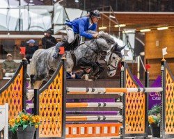 jumper HERRADURO VD OUDE HEIHOEF Z (Zangersheide riding horse, 2018, from VDL Harley)