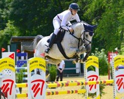 jumper Vina Bella (German Sport Horse, 2019, from Vingino)
