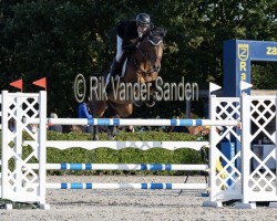 jumper Fermin de Casavieja (Spanish Sport Horse, 2017, from Eldorado van de Zeshoek)