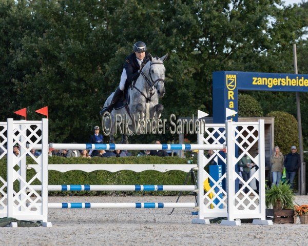 jumper Corlexus Z (Zangersheide riding horse, 2017, from Cornet Obolensky)