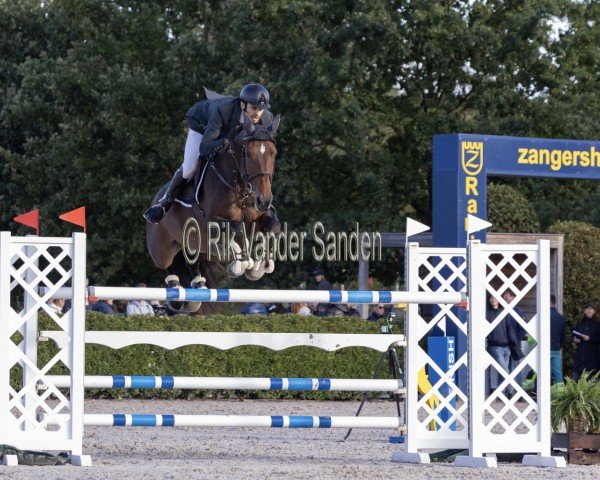 jumper M.adermie Rj (KWPN (Royal Dutch Sporthorse), 2017, from Falaise de Muze)