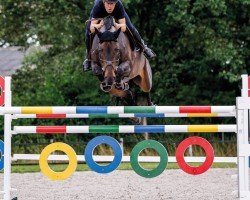 jumper Ronermus van het Weyenshof (Belgian Warmblood, 2017, from Diamant de Semilly)