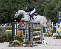 jumper Cornelis Vm Z (Zangersheide riding horse, 2017, from K.i Parrandero)