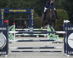 jumper Mclaren TE (KWPN (Royal Dutch Sporthorse), 2017, from VDL Harley)