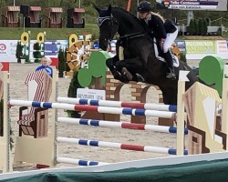 jumper Ella von Kielslück (Holsteiner, 2012, from Nekton)