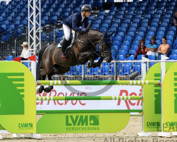 jumper Jimmy (anglo european sporthorse, 2014, from Twister de la Pomme)