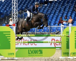 jumper Jimmy (anglo european sporthorse, 2014, from Twister de la Pomme)