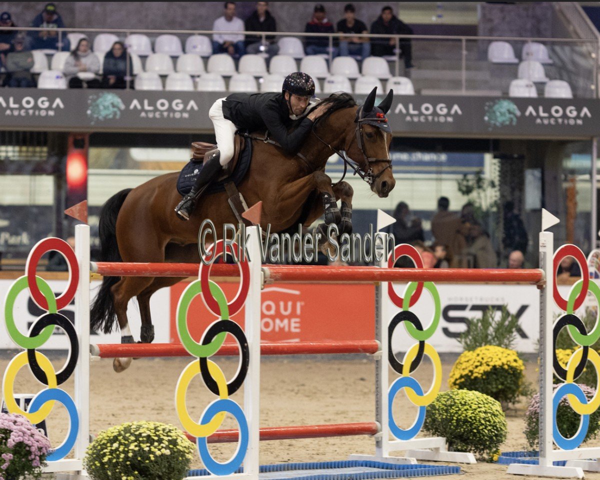 jumper Iceman Elrite (KWPN (Royal Dutch Sporthorse), 2013, from For Pleasure)