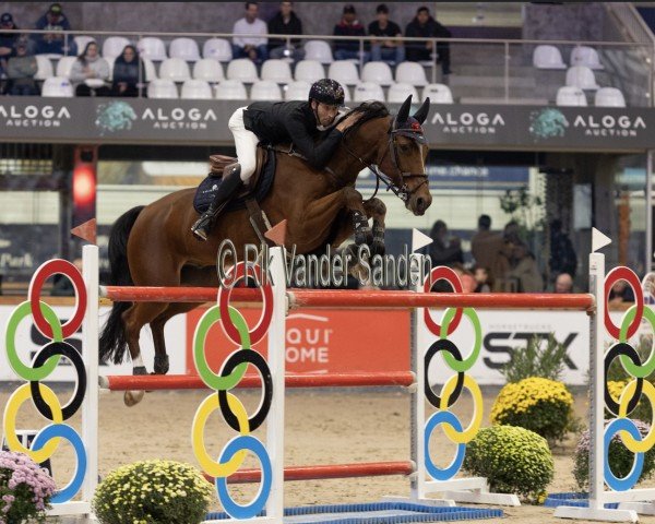 jumper Iceman Elrite (KWPN (Royal Dutch Sporthorse), 2013, from For Pleasure)