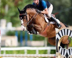 jumper Casimiro PS (Holsteiner, 2018, from Casall Ask)