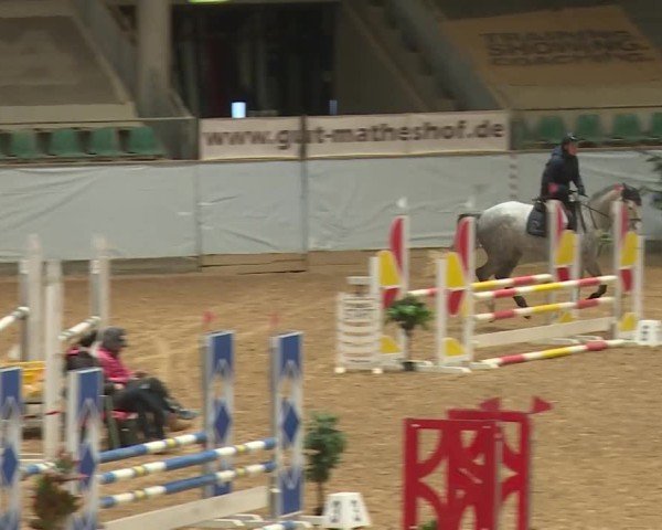 Reitturnier Kreuth/Opf. 2024