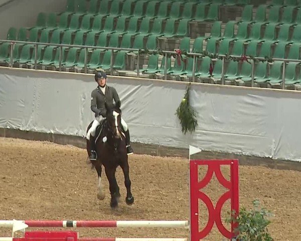 Reitturnier Kreuth/Opf. 2024