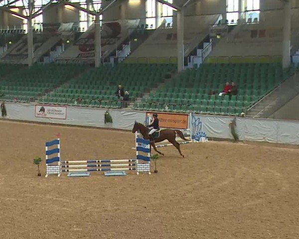 Reitturnier Kreuth/Opf. 2024