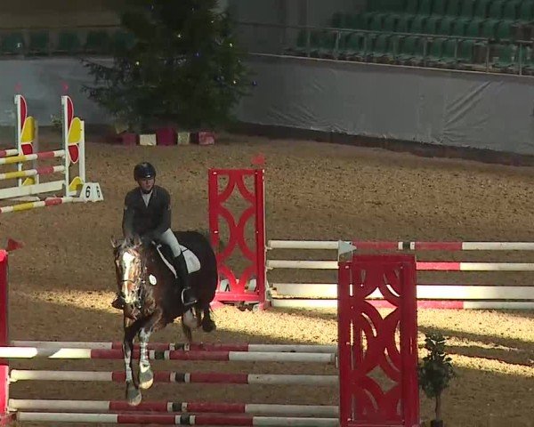 Reitturnier Kreuth/Opf. 2024